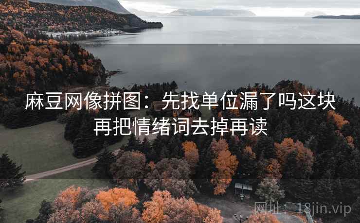 麻豆网像拼图：先找单位漏了吗这块再把情绪词去掉再读